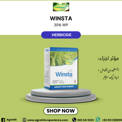 WINSTA 30% WP