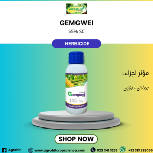 گینگوی 55 ایس ای – چوڑے پتوں اور گھاس نما جڑی بوٹیوں کے خلاف مؤثر ویڈیسائیڈ