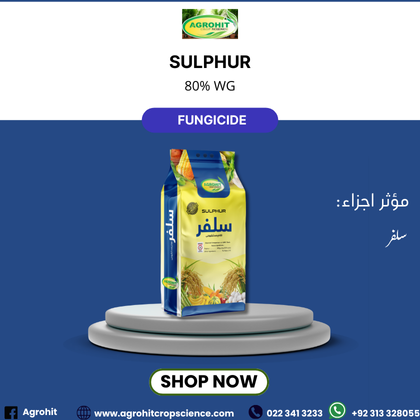 SULPHUR 80% WGسلفر 80 فیصد ڈبلیو ڈی جی – Fungicide, Miticide & Plant Nutrient سلفر 80 فیصد ڈبلیو ڈی جی – فنجیسائیڈ، مائٹیسائیڈ اور پلانٹ نیوٹرینٹس