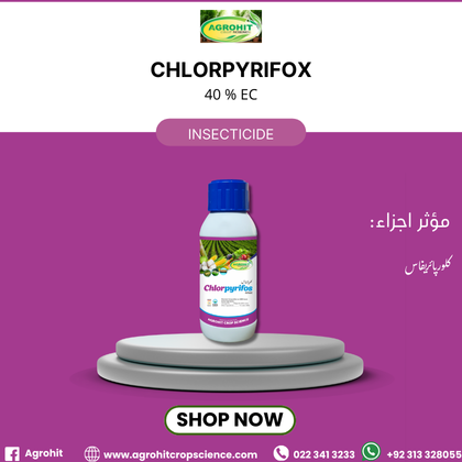 CHLORPYRIFOS 40% EC – کلورپائریفاس 40% ای سی – Chlorpyrifos InsecticideInsecticide Chlorpyrifos 40% EC کلورپائریفاس 40% ای سی – Broad Spectrum Organophosphate Insecticide