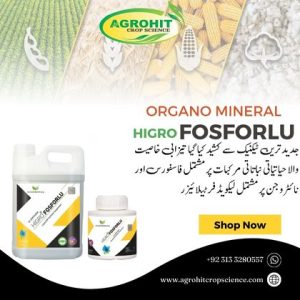 HIGRO FOSFORLU