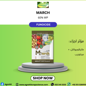 مارچ 64 فیصد ڈبلیو پی – ڈوئل ایکشن فنجی سائیڈ برائے وسیع دائرہ اثر بیماریوں کا کنٹرول