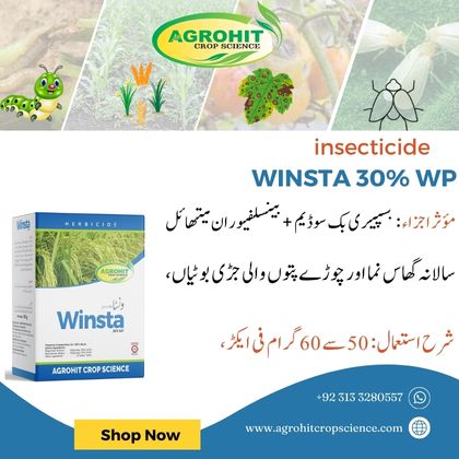 WINSTA 30% WP